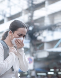 Pollution de l'air : le Parlement Européen adopte une nouvelle loi pour améliorer la qualité de l'air