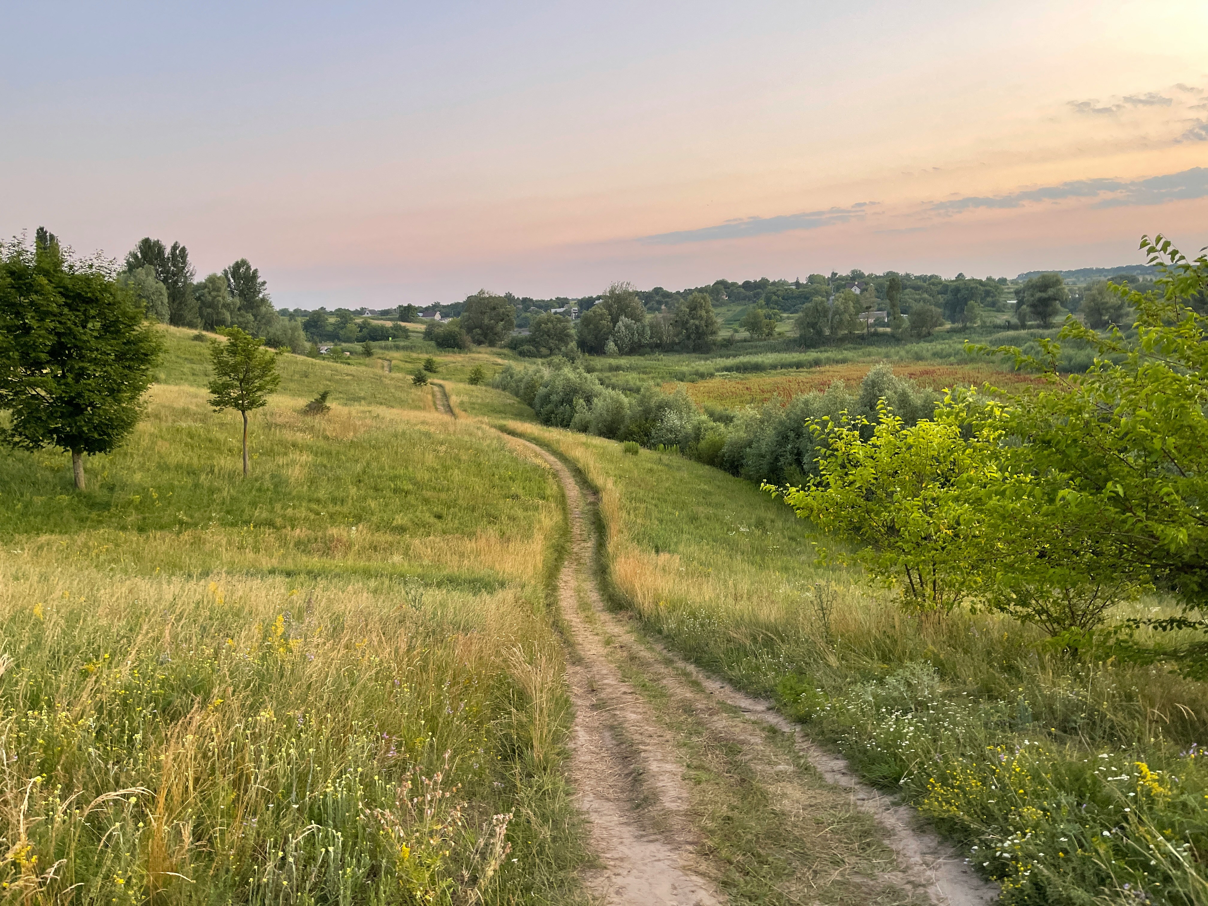 Prescriptions générales applicables aux installations relevant de la rubrique n° 3650 ou n° 3710 