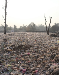 Pollution : Comprendre, Analyser, Agir