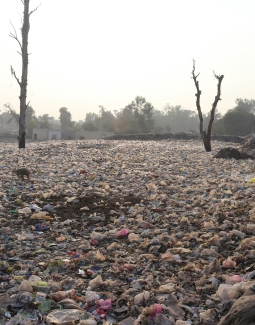 Pollution : Comprendre, Analyser, Agir